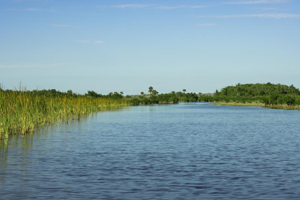 Exploring The Everglades by Airboat