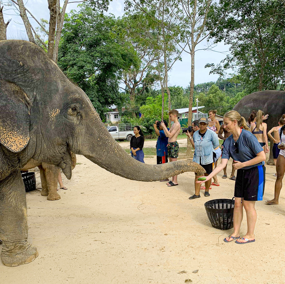 Review: Green Elephant Sanctuary in Phuket